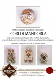 FIORI MANDORLA