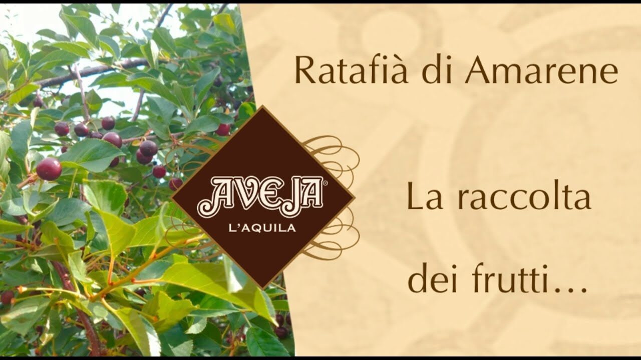 La Ratafia, l'antico rosolio d'Abruzzo