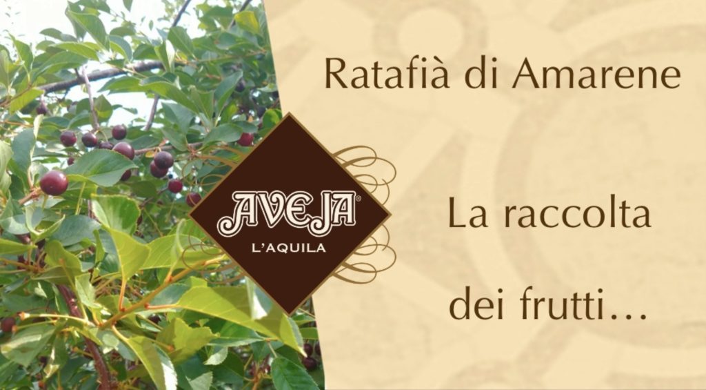 ratafià di amarene aveja
